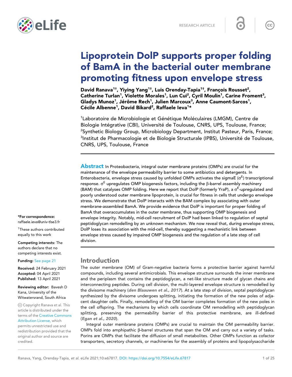 Lipoprotein Dolp Supports Proper Folding of Bama in the Bacterial