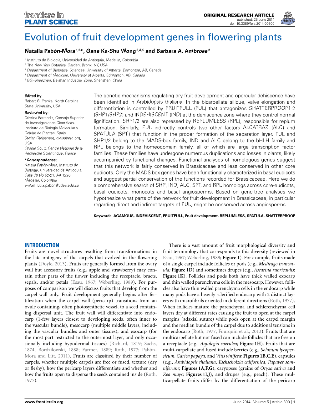 Evolution of Fruit Development Genes in Flowering Plants