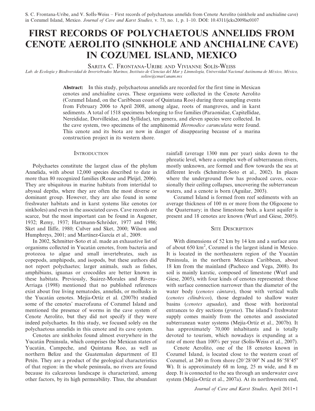 First Records of Polychaetous Annelids from Cenote Aerolito (Sinkhole and Anchialine Cave) in Cozumel Island, Mexico