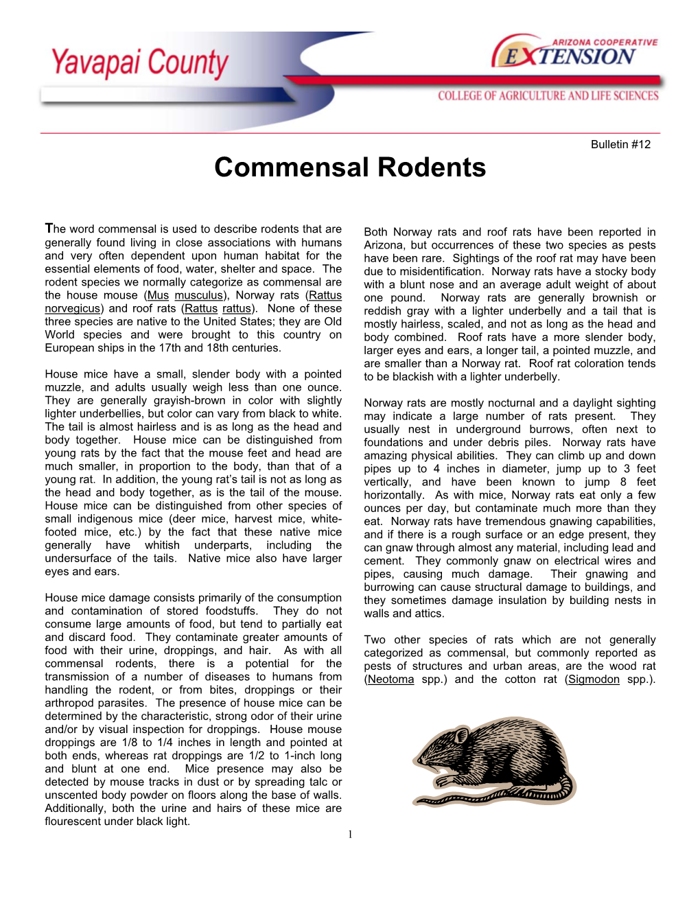 Commensal Rodents