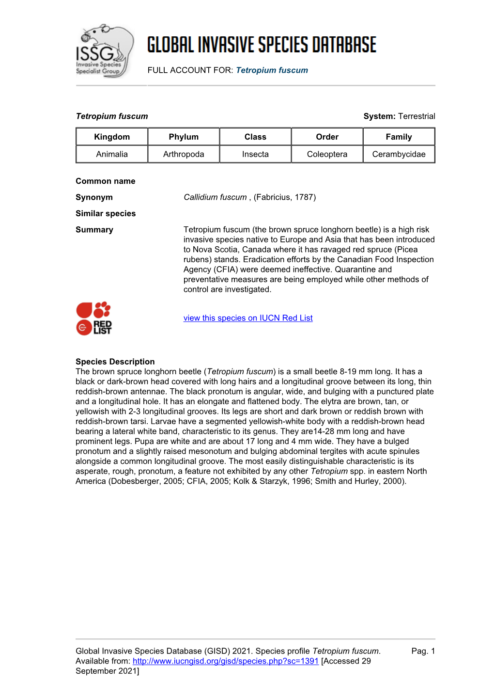 Tetropium Fuscum Global Invasive