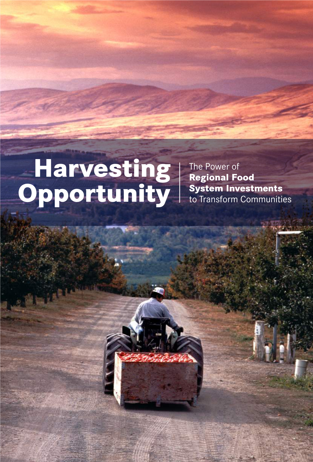 Harvesting Opportunity: the Power of Regional Food System Investments to Transform Communities Contents