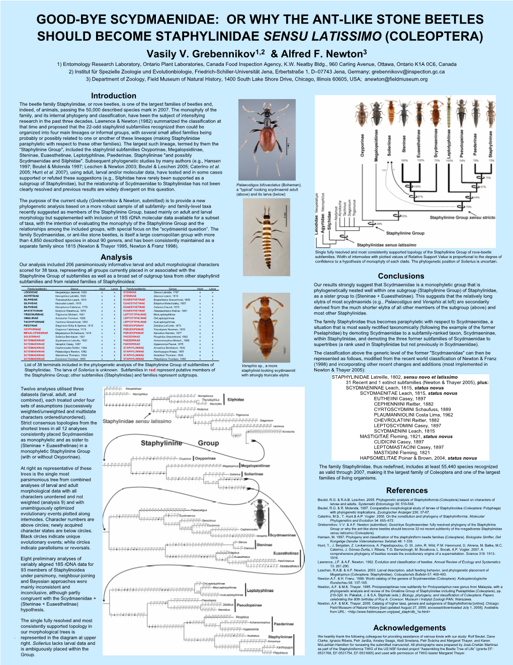 GOOD-BYE SCYDMAENIDAE: OR WHY the ANT-LIKE STONE BEETLES SHOULD BECOME STAPHYLINIDAE SENSU LATISSIMO (COLEOPTERA) Vasily V