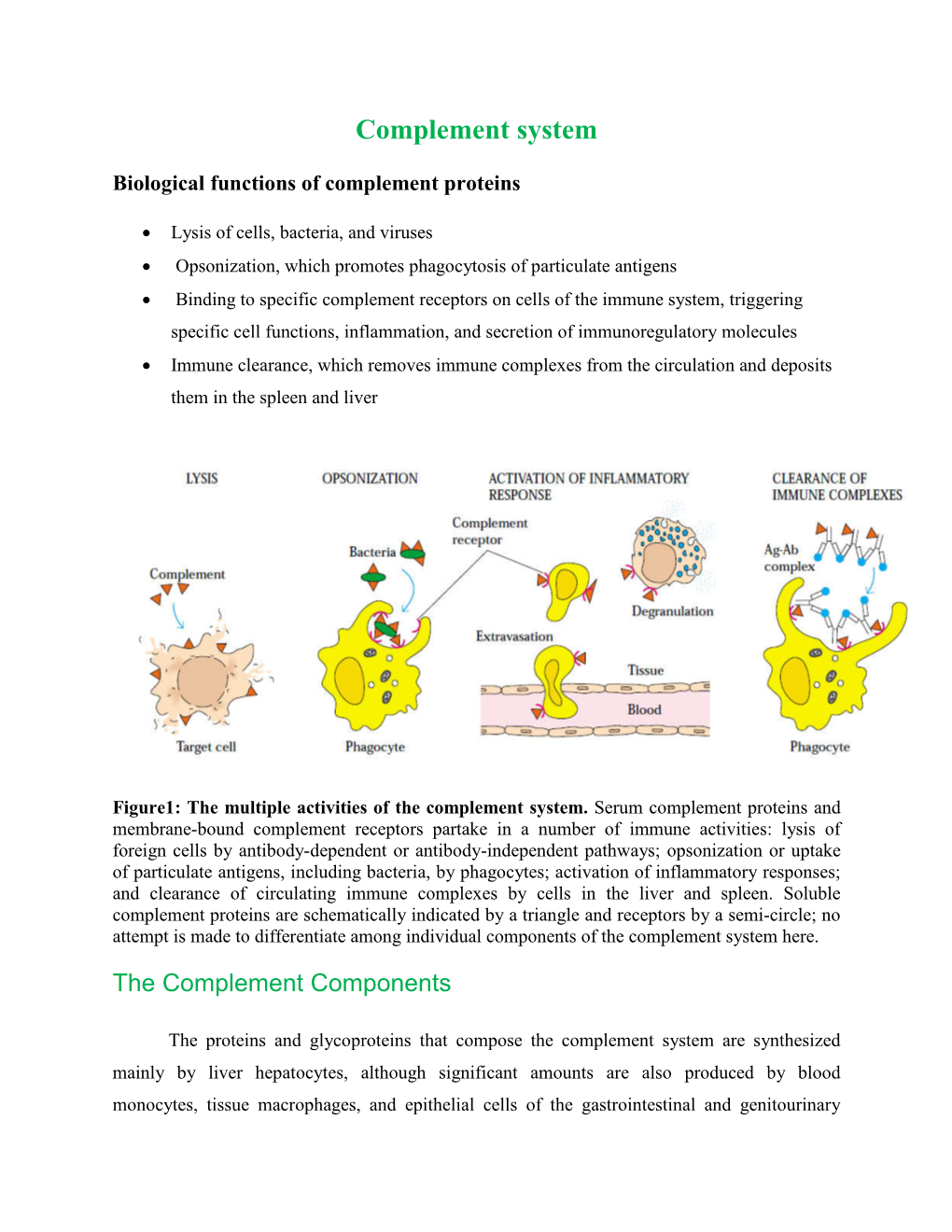 Complement System