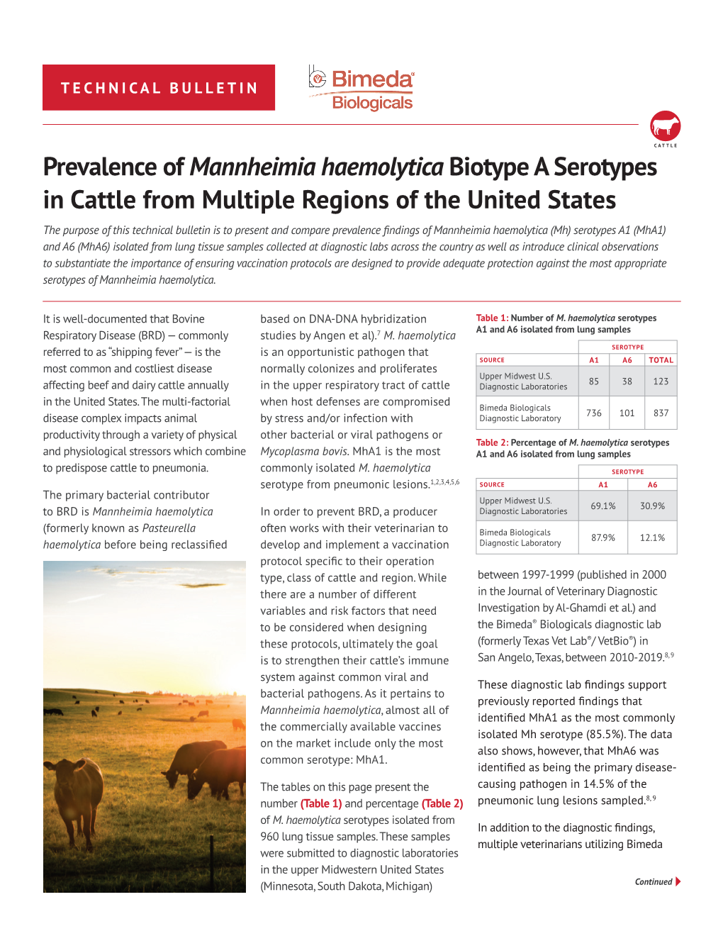 Prevalence of Mannheimia Haemolytica Biotype a Serotypes In