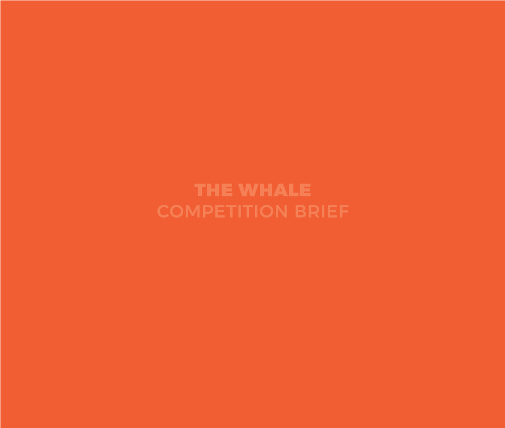 The Whale Competition Brief