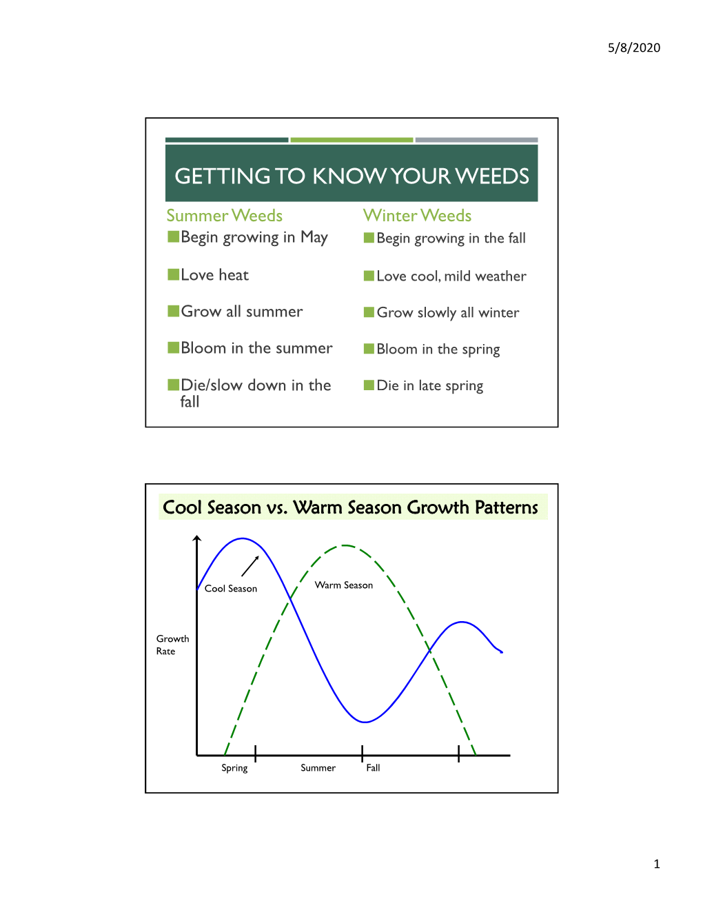 GETTING to KNOW YOUR WEEDS Summer Weeds Winter Weeds Begin Growing in May Begin Growing in the Fall