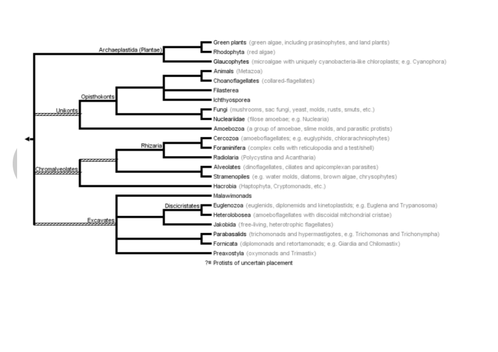 Systematics Complete