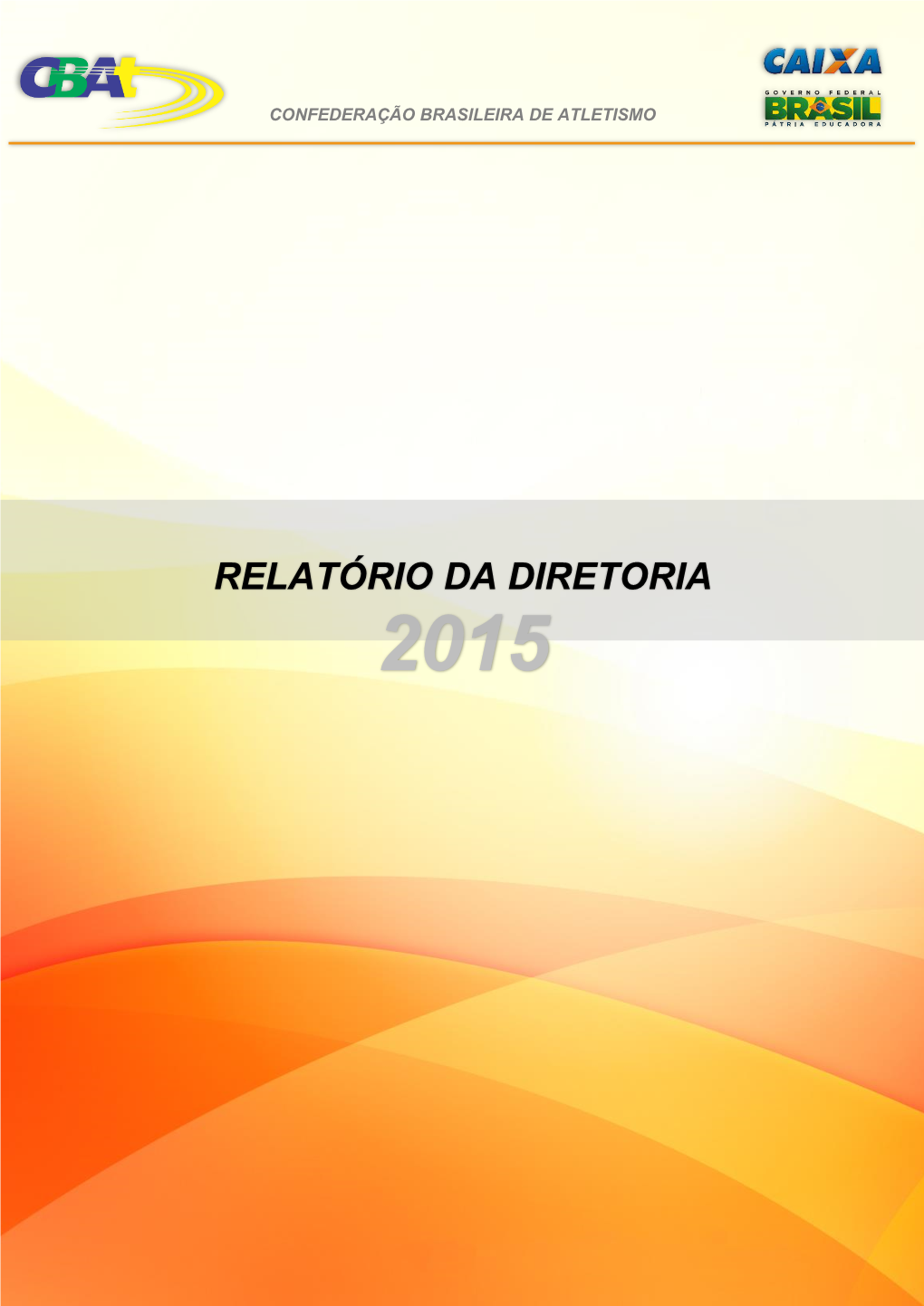 Relatório Da Diretoria 2015