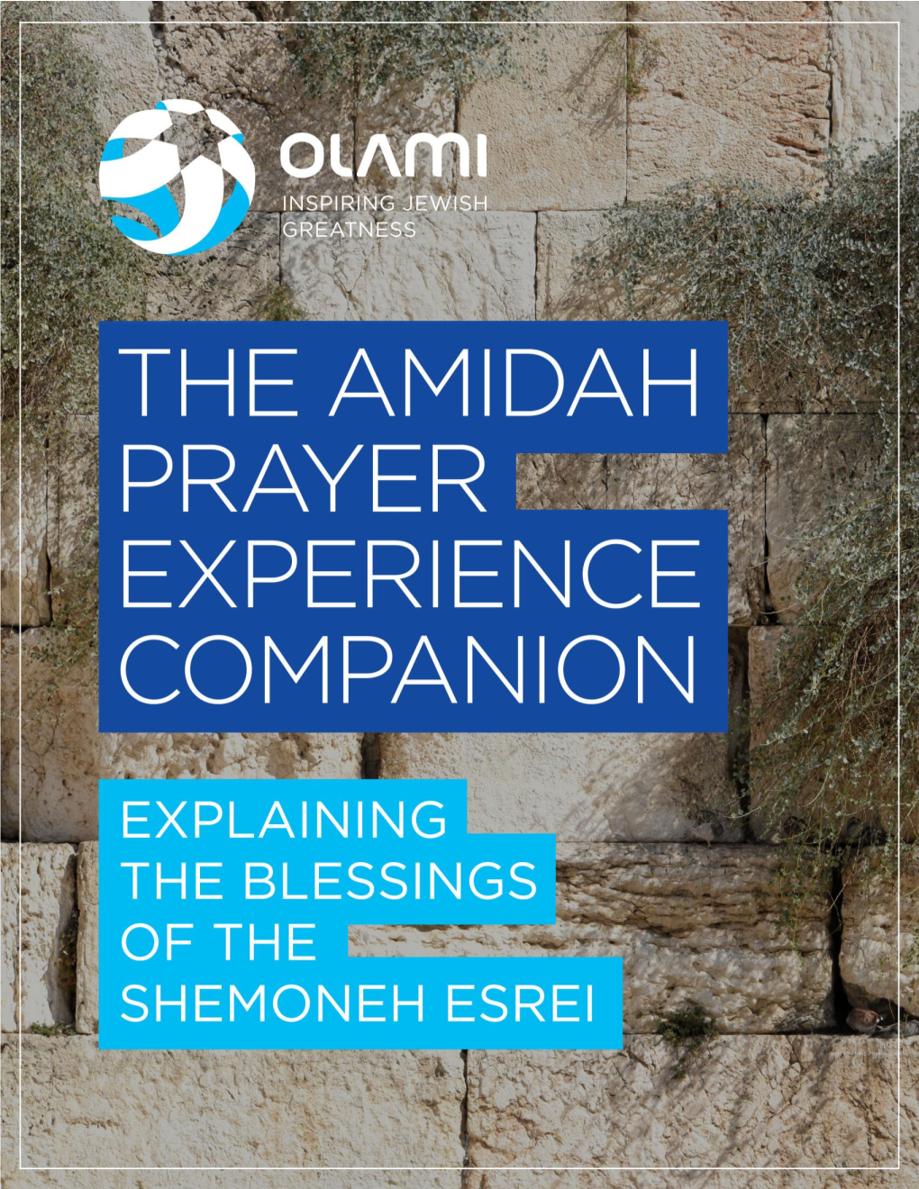 The Amidah Prayer Experience Handbook