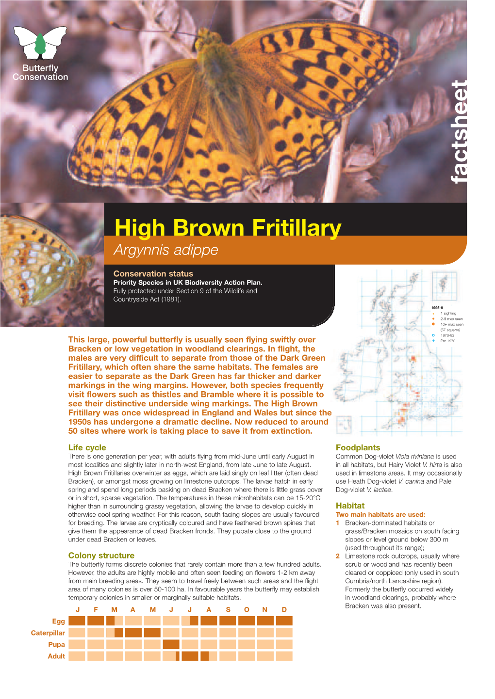 C0874 High Brown Fritillary
