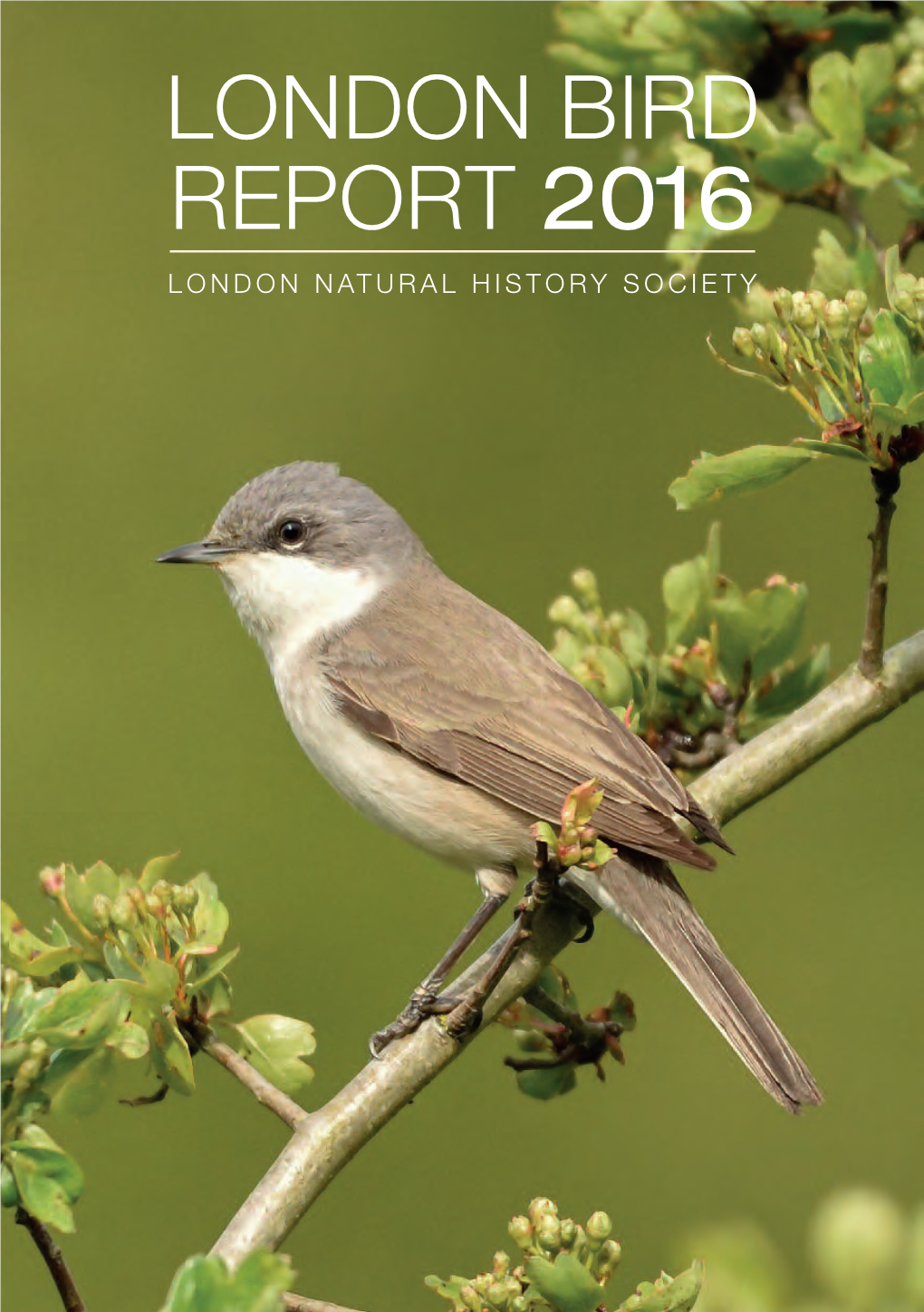 LONDON BIRD REPORT 2016 LONDON Natural History Society 1