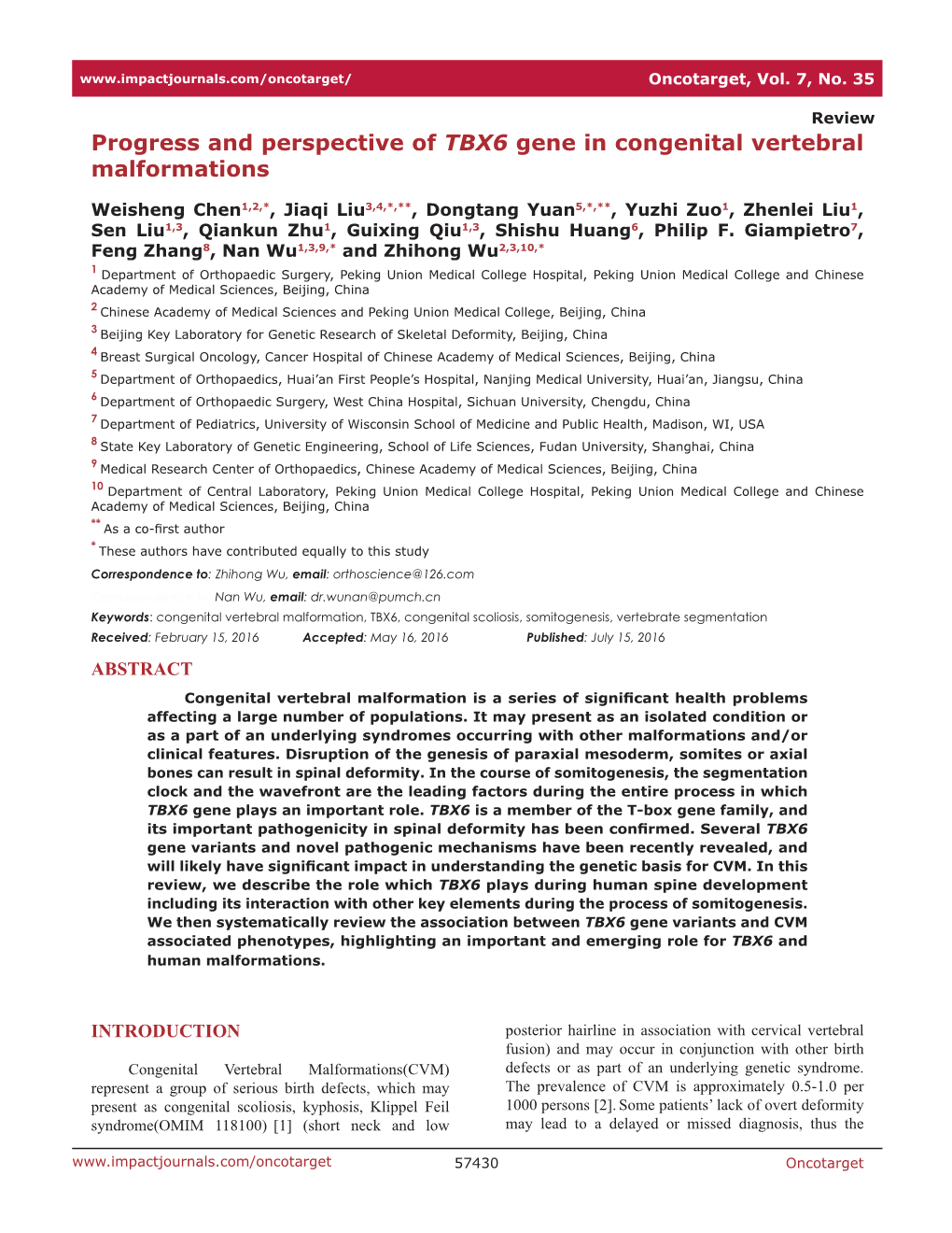 Progress and Perspective of TBX6 Gene in Congenital Vertebral Malformations