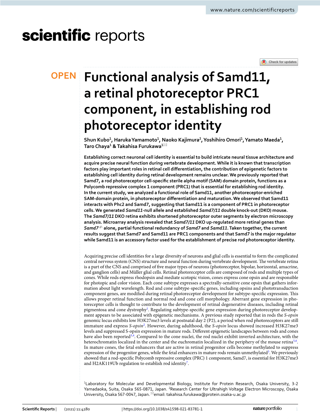 Functional Analysis of Samd11, a Retinal Photoreceptor PRC1