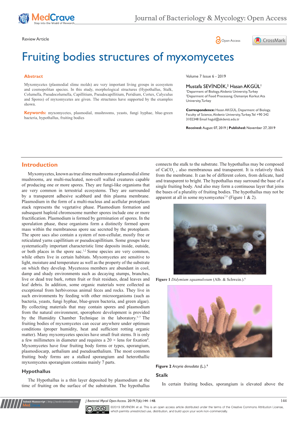 Fruiting Bodies Structures of Myxomycetes