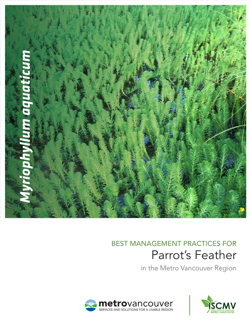 Myriophyllum Aquaticum BEST MANAGEMENTPRACTICES for in Themetro Vancouver Region Parrot’S Feather Disclaimer