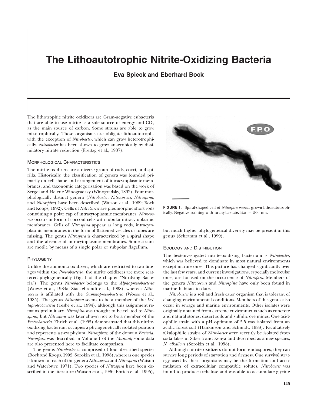 The Lithoautotrophic Nitrite-Oxidizing Bacteria