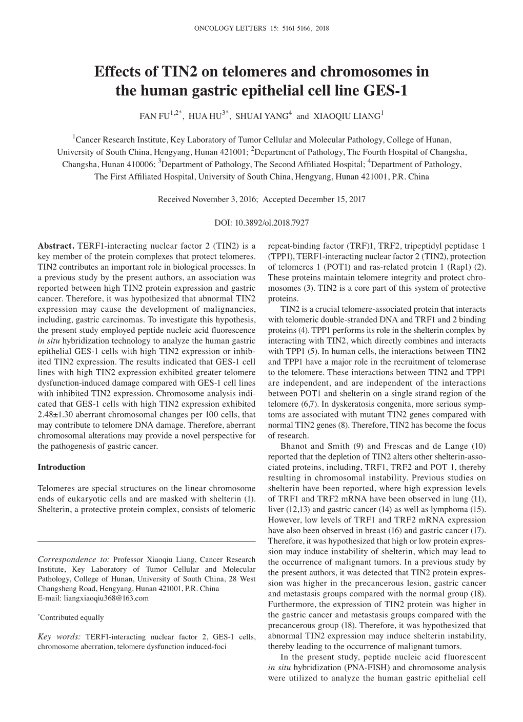 Effects of TIN2 on Telomeres and Chromosomes in the Human Gastric Epithelial Cell Line GES-1