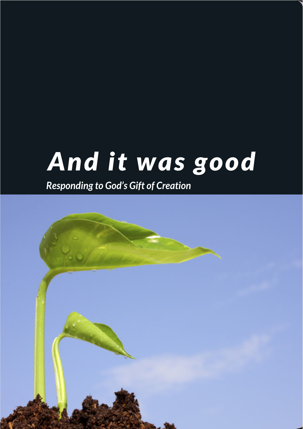 And It Was Good Responding to God’S Gift of Creation �Nd It Was Good Provides an Opportunity for Anglicans Around the Communion to Explore Together Two Vital Themes