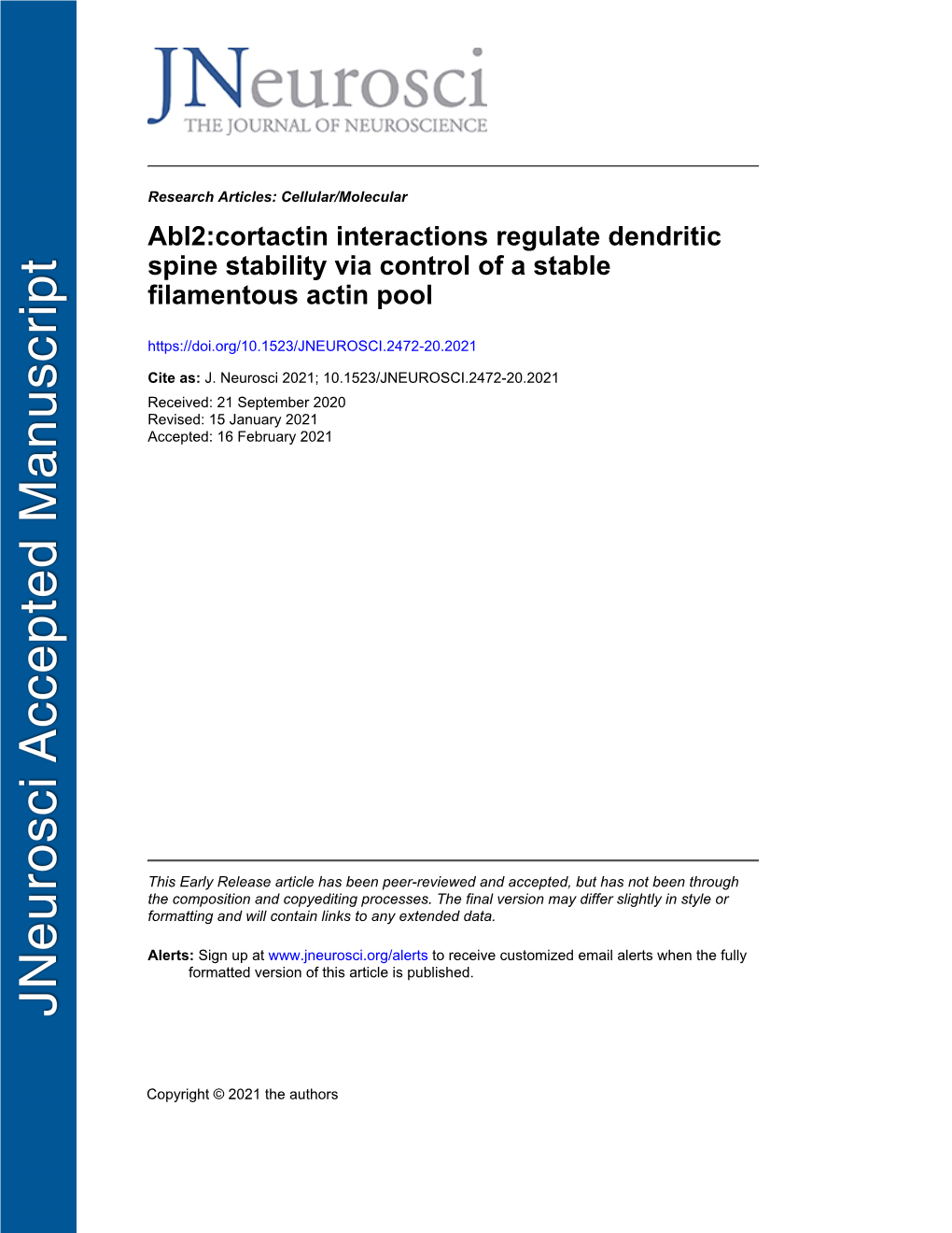 Abl2:Cortactin Interactions Regulate Dendritic Spine Stability Via Control of a Stable Filamentous Actin Pool