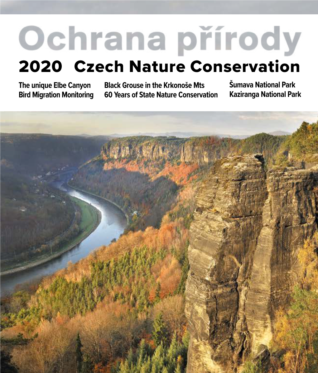 2020 Czech Nature Conservation