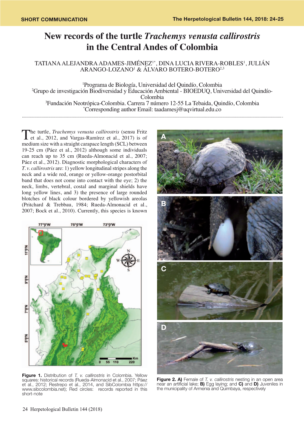 New Records of the Turtle Trachemys Venusta Callirostris in the Central Andes of Colombia