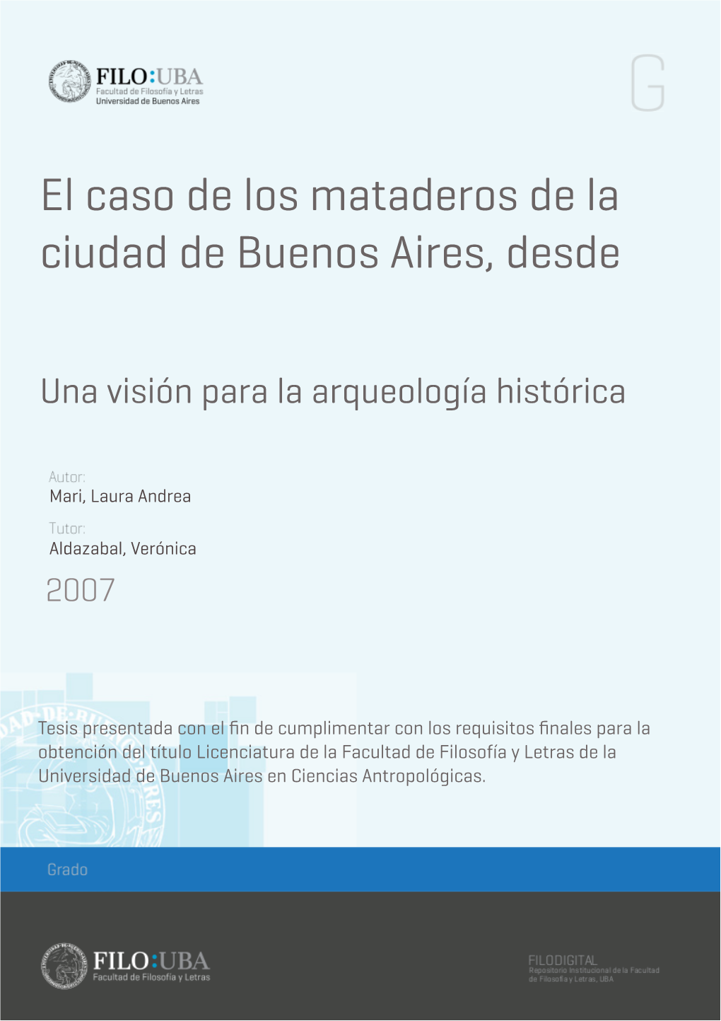 El Caso De Los Mataderos De La Ciudad De Buenos Aires, Desde