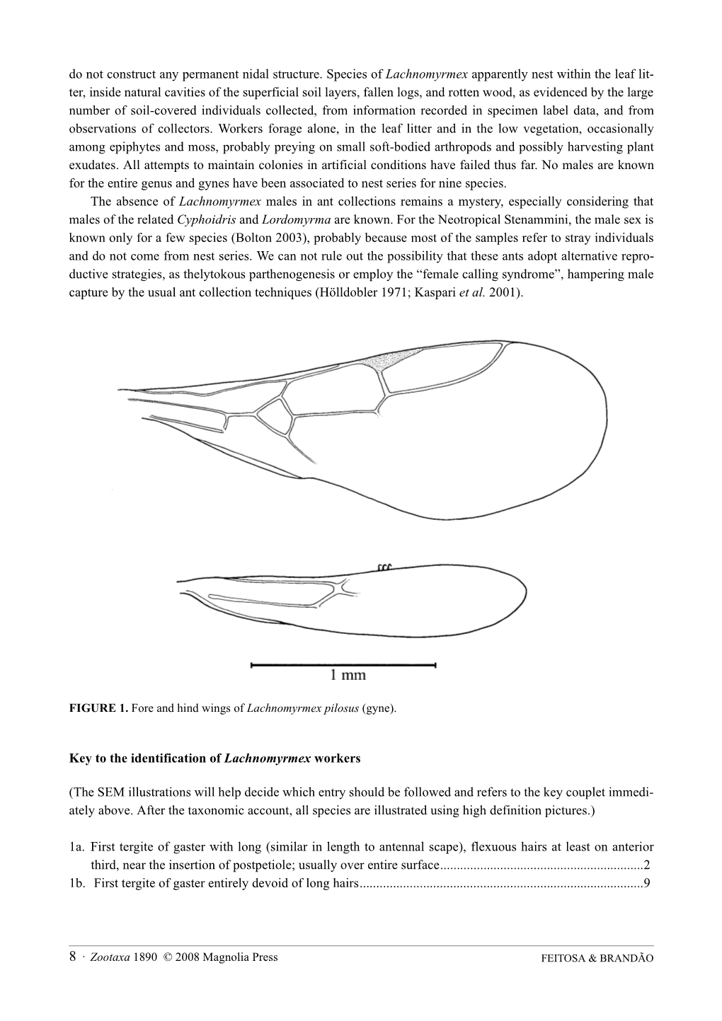 Zootaxa, a Taxonomic Revision of the Neotropical