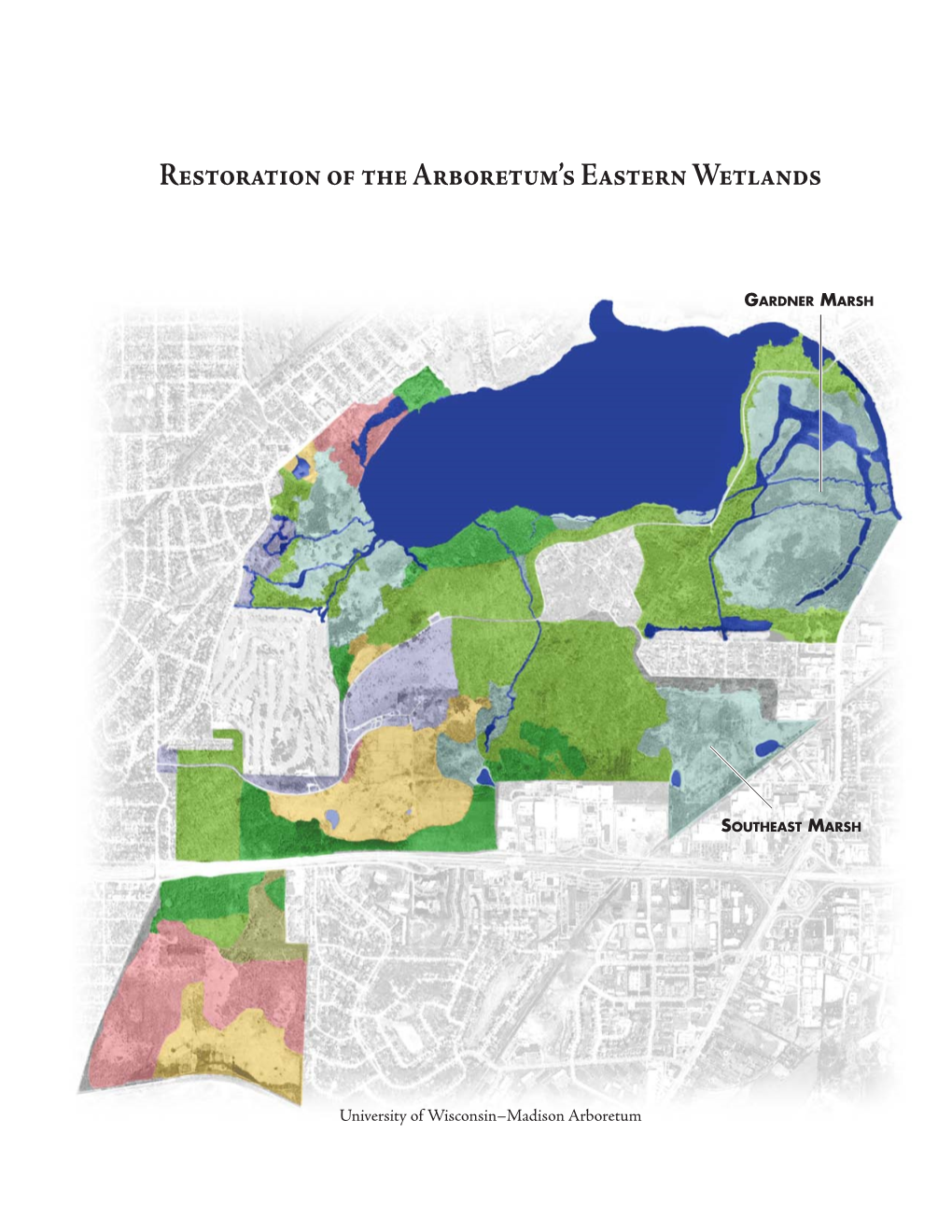 Restoration of the Arboretum's Eastern Wetlands