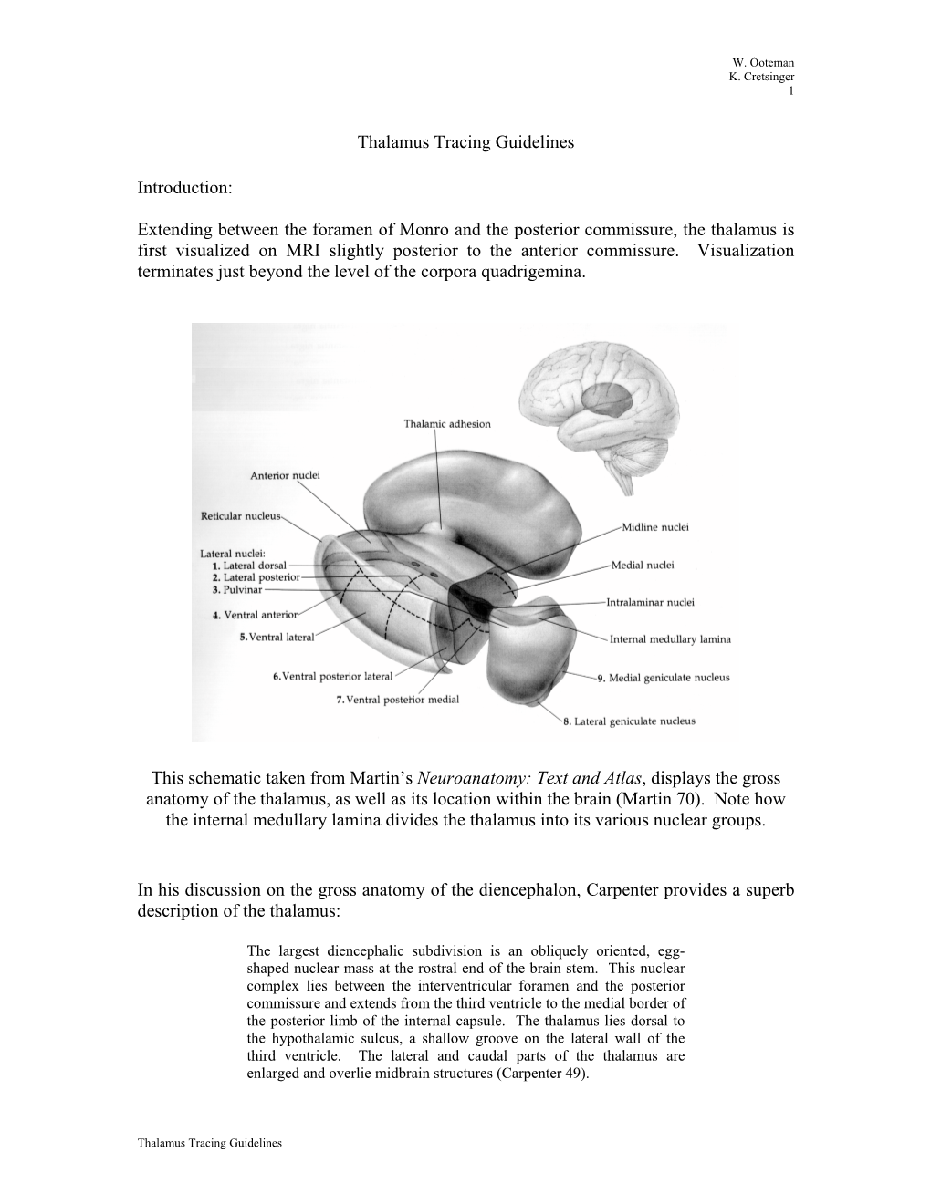 Thalamus Tracing Guidelines Introduction