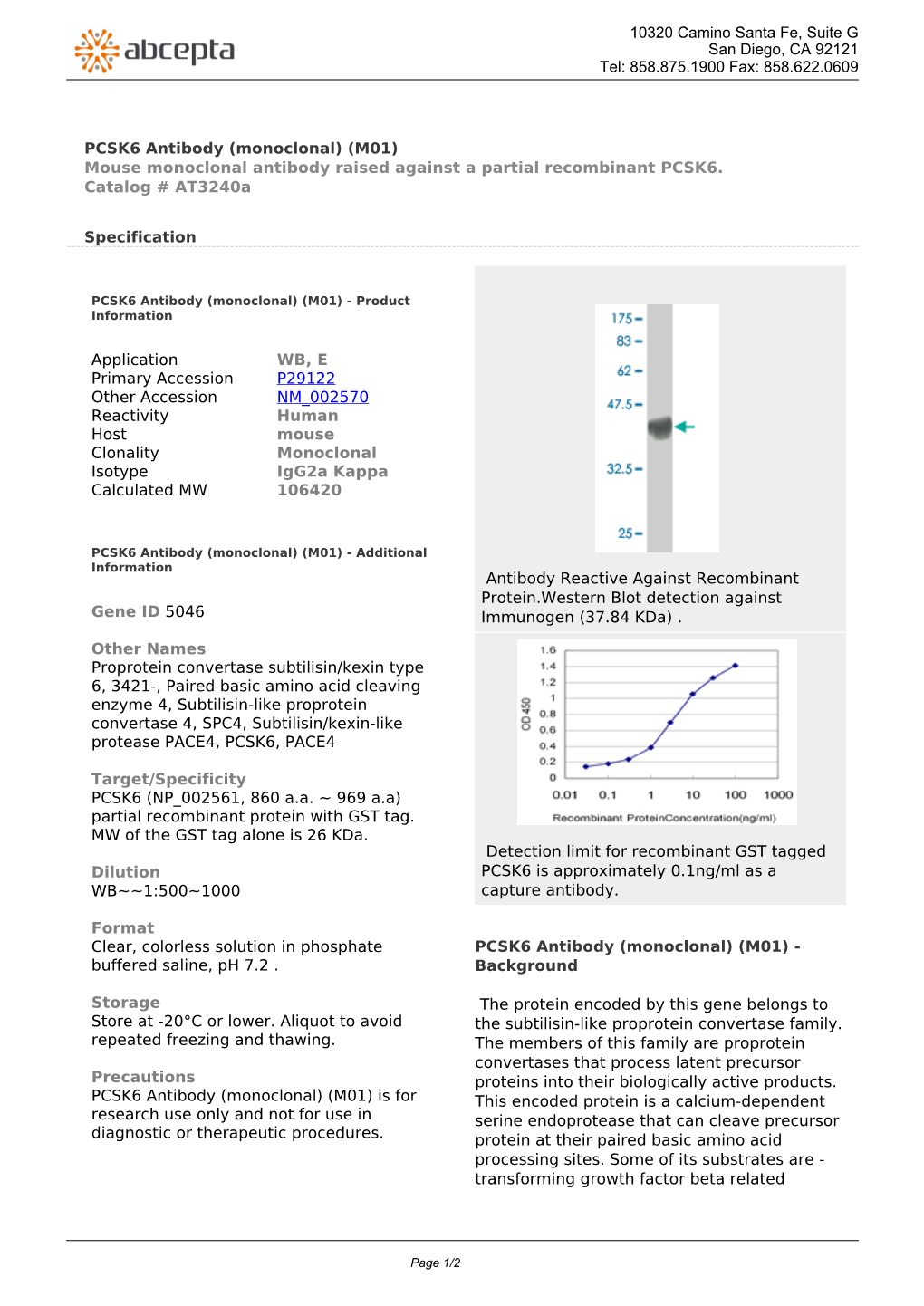 PCSK6 Antibody (Monoclonal) (M01) Mouse Monoclonal Antibody Raised Against a Partial Recombinant PCSK6