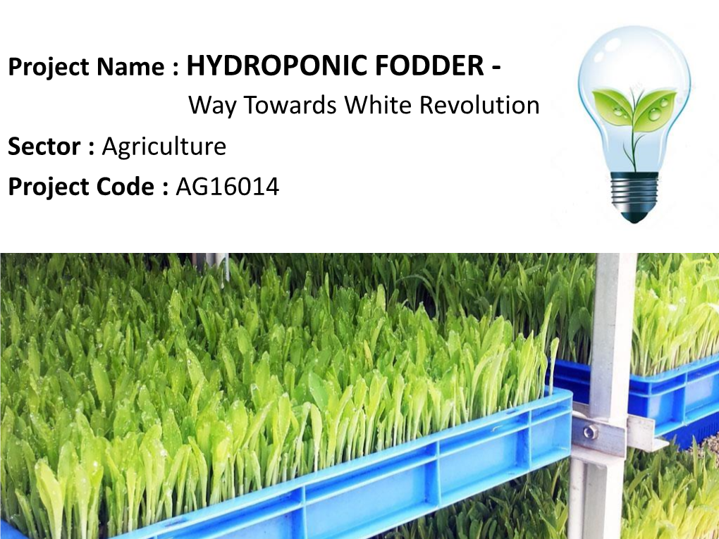 Hydroponic Fodder