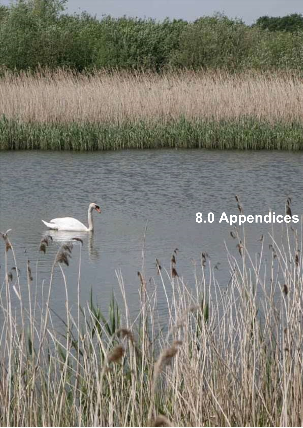 8.0 Appendices