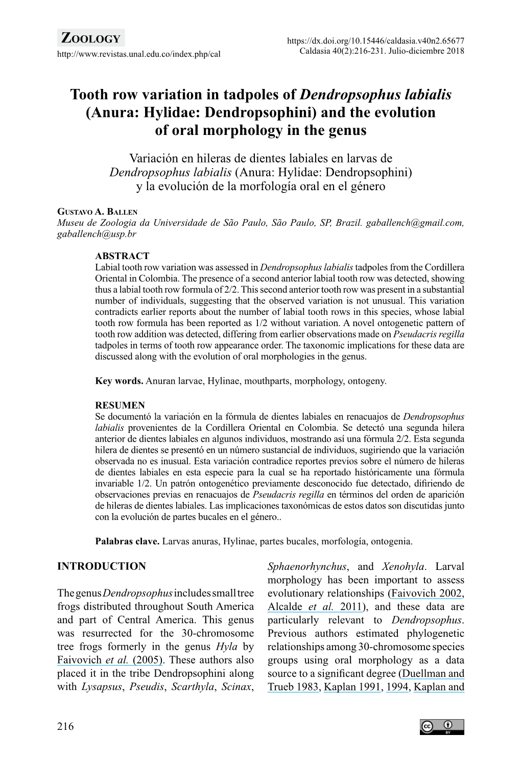 Tooth Row Variation in Tadpoles of Dendropsophus Labialis (Anura: Hylidae: Dendropsophini) and the Evolution of Oral Morphology in the Genus