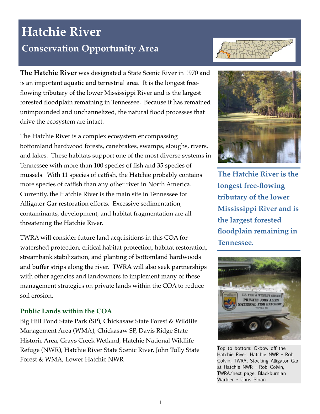 Hatchie River Conservation Opportunity Area