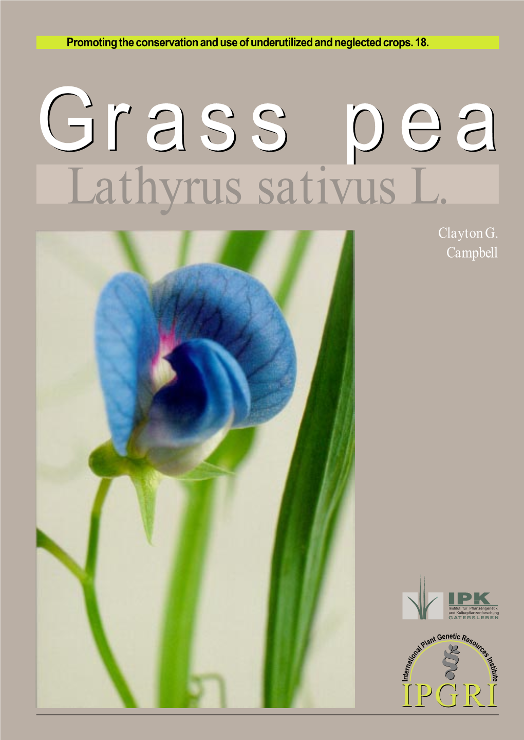 Grass Pea, Lathyrus Sativus L. Msc