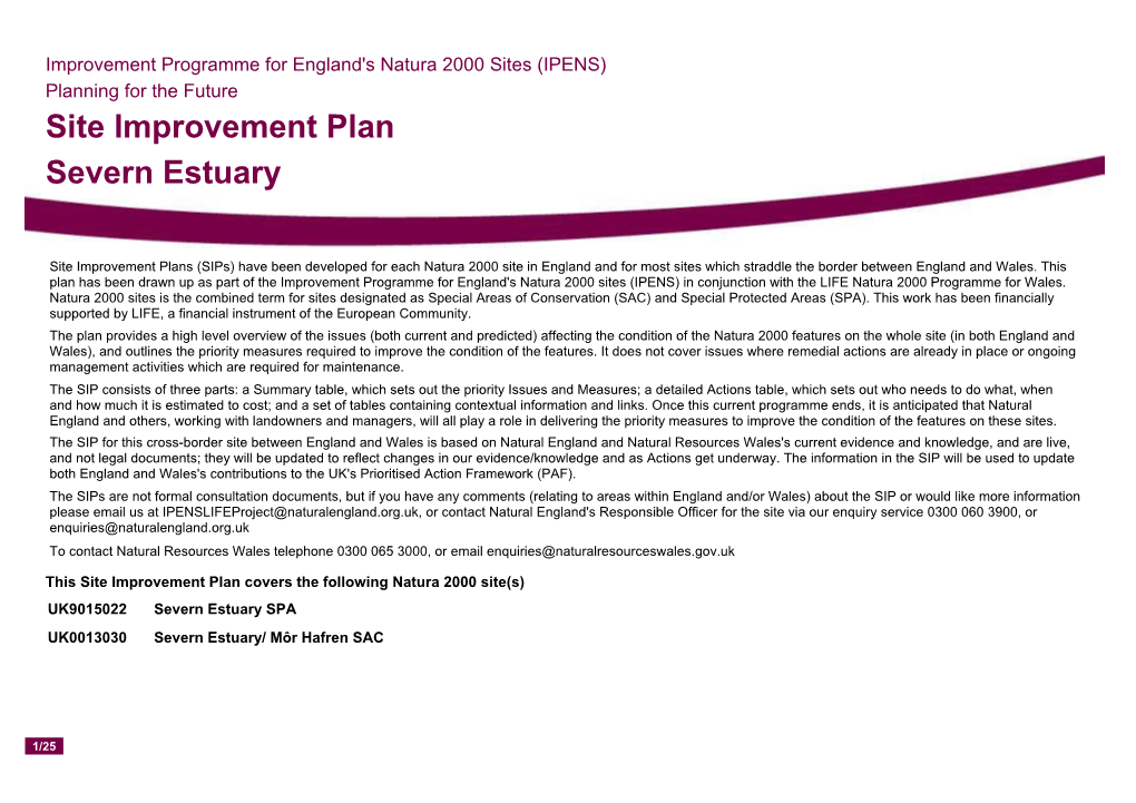 Site Improvement Plan Severn Estuary