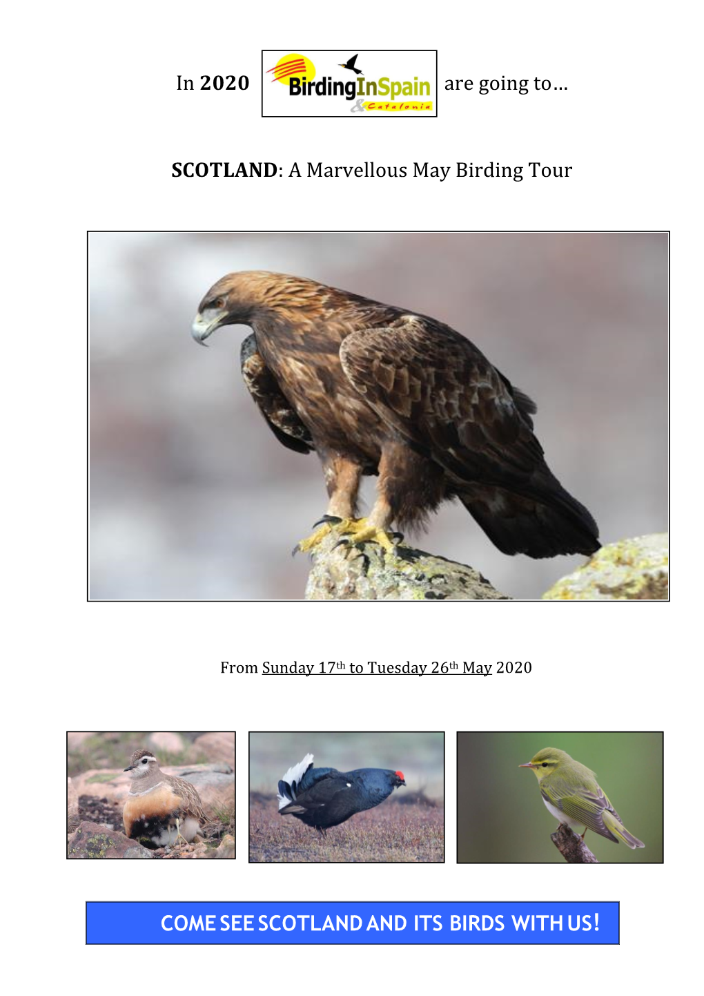 SCOTLAND: a Marvellous May Birding Tour