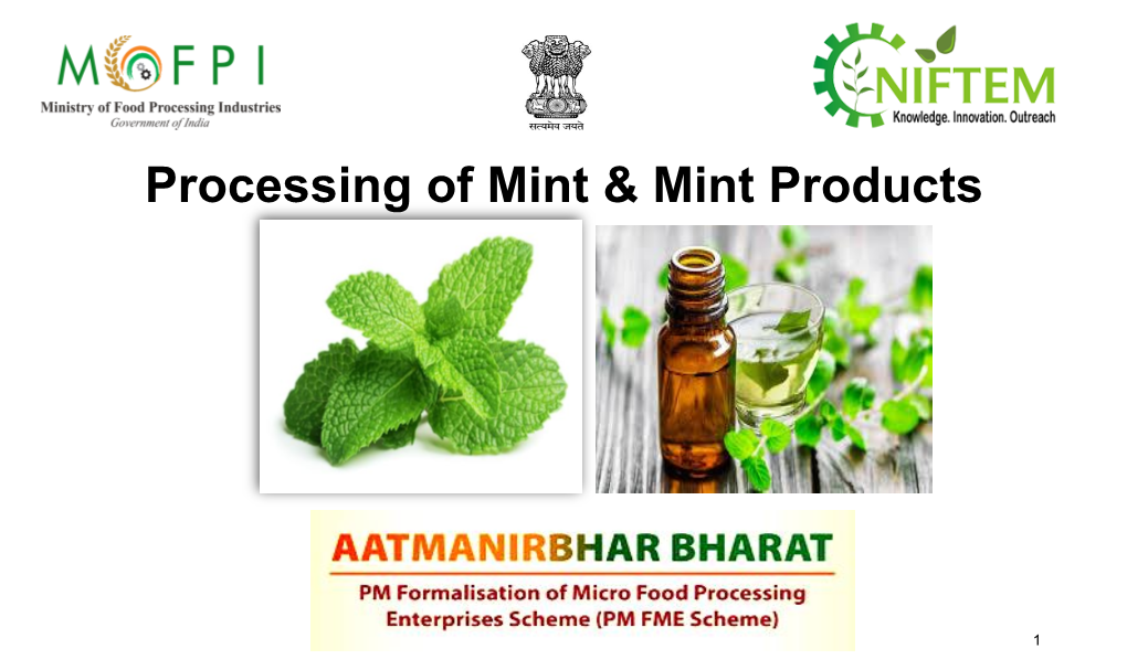 Processing of Mint & Mint Products