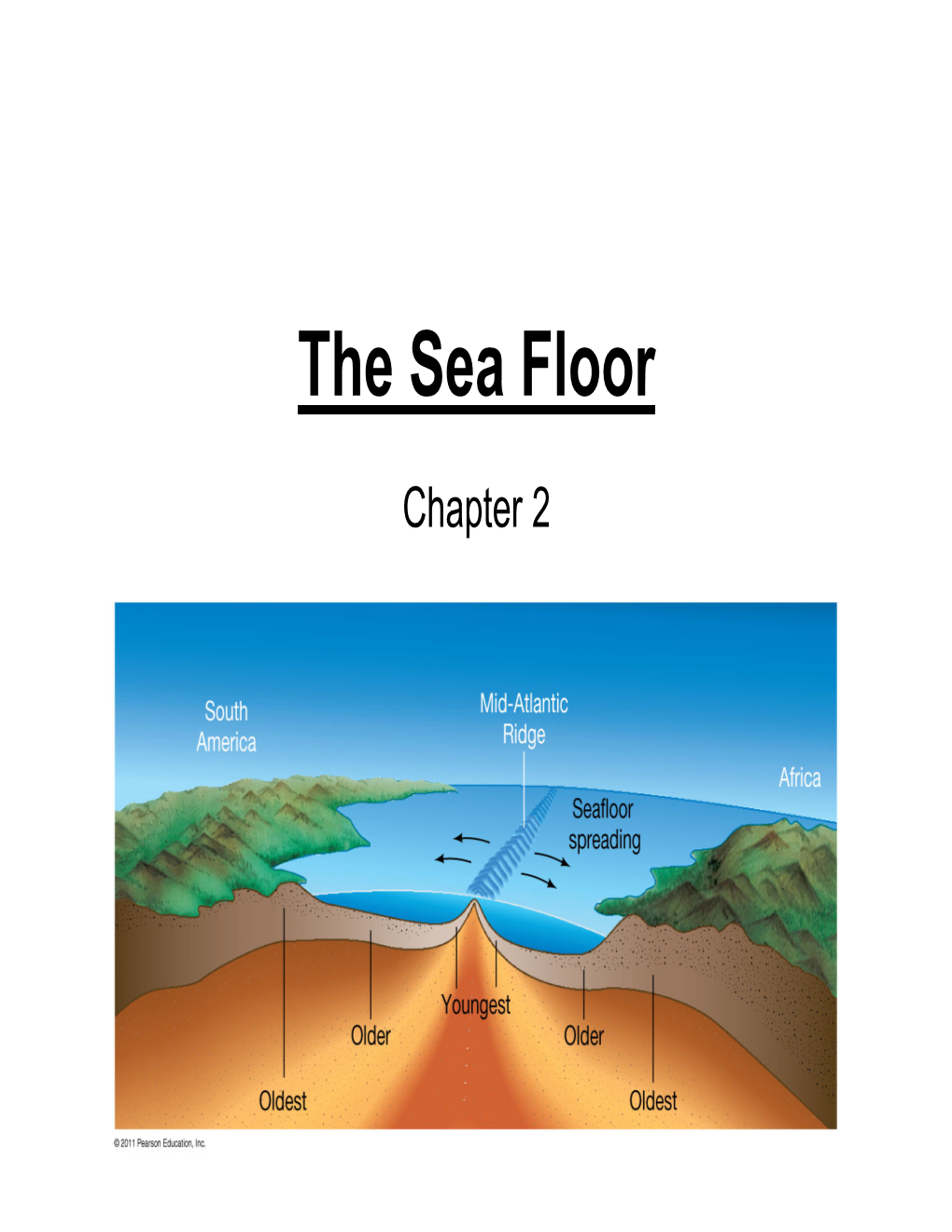 The Sea Floor