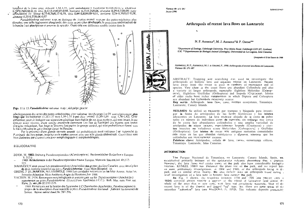 Arthropods of Recen1 Lava Flows O11 Lanzarote