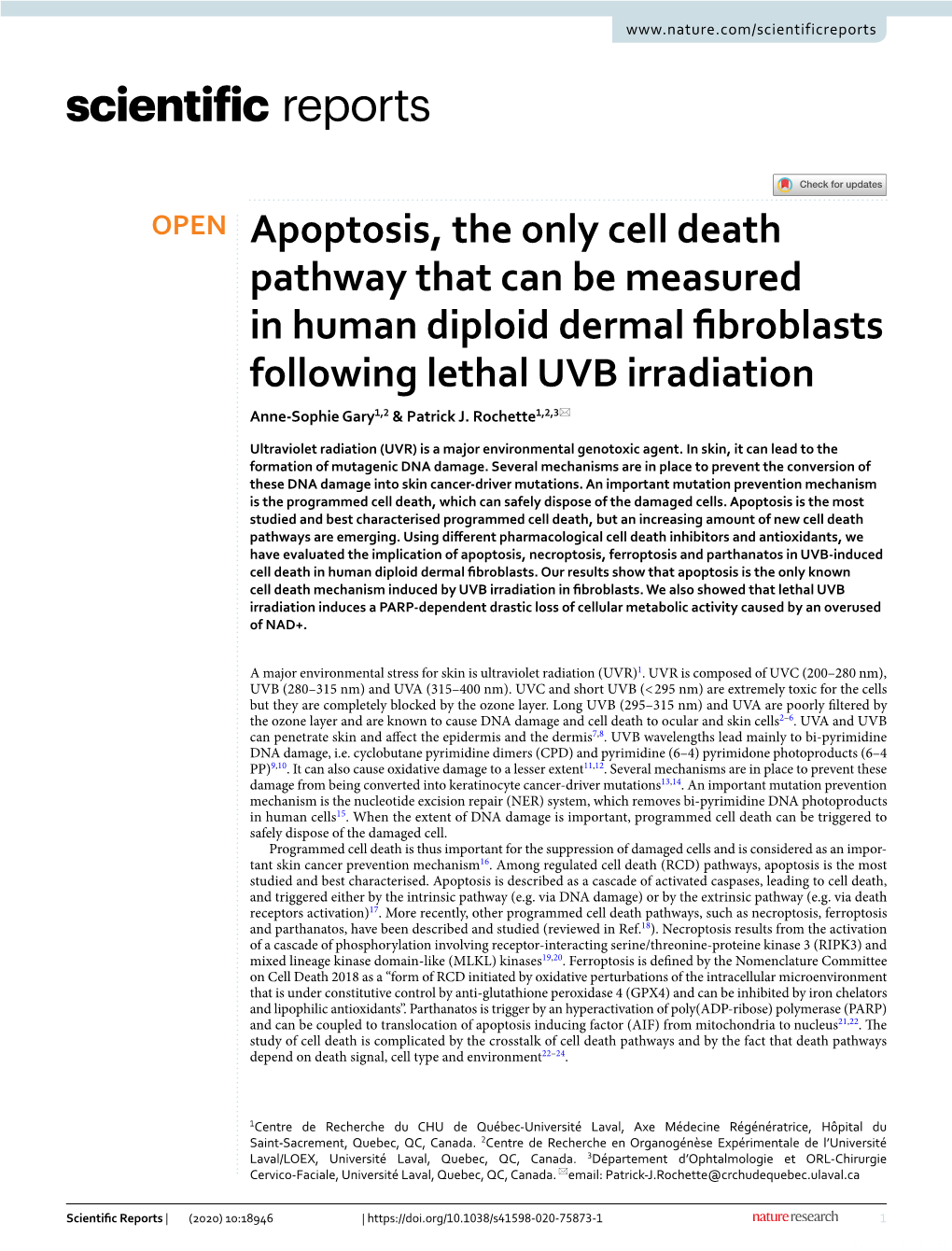 Apoptosis, the Only Cell Death Pathway That Can Be Measured in Human Diploid Dermal Fbroblasts Following Lethal UVB Irradiation Anne‑Sophie Gary1,2 & Patrick J