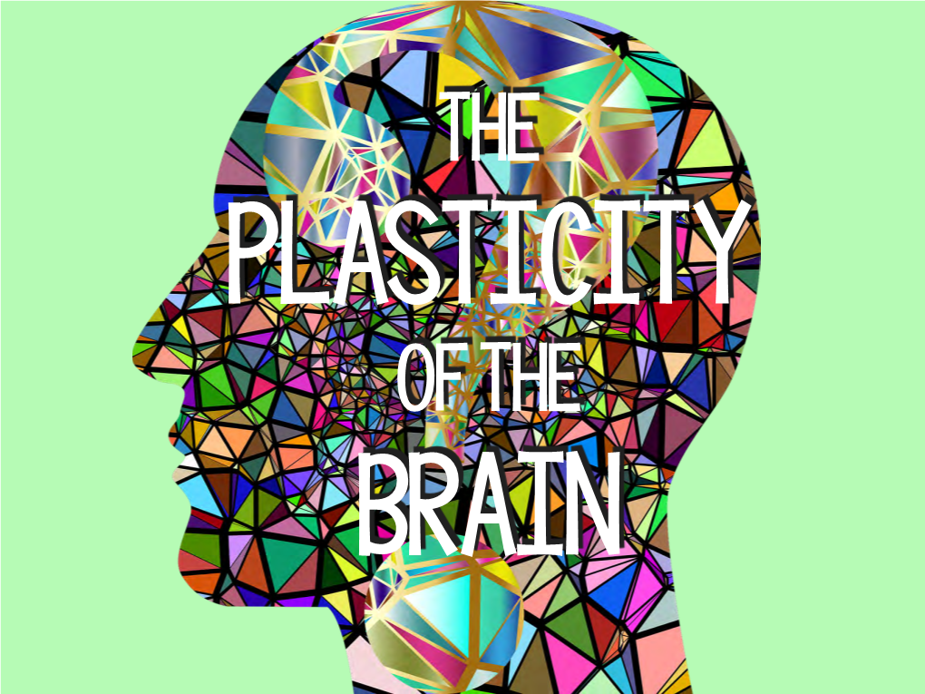 Brain Plasticity Year 11 2019