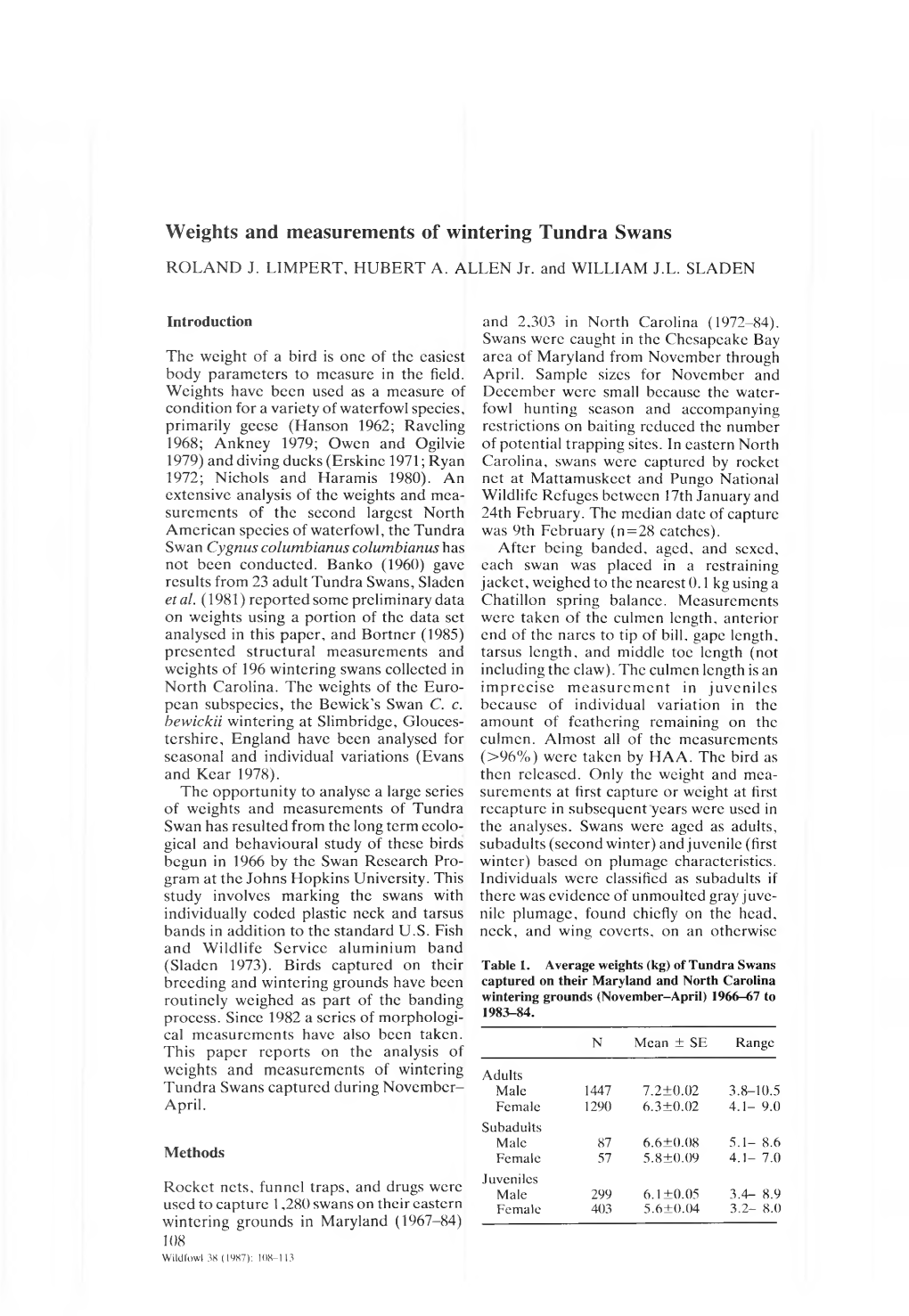 Weights and Measurements of Wintering Tundra Swans