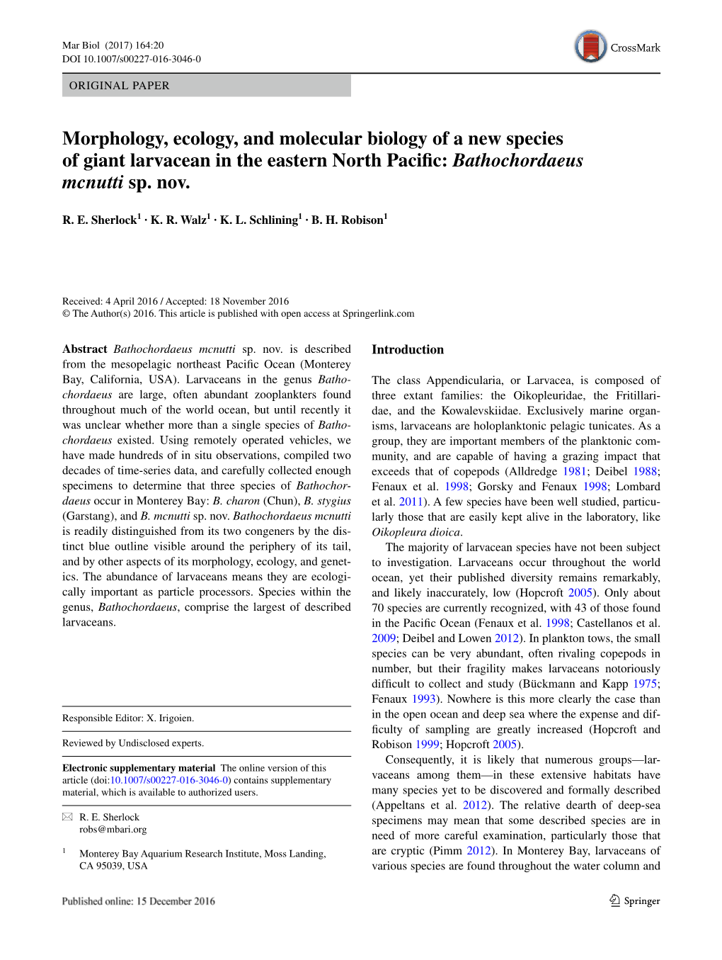 Morphology, Ecology, and Molecular Biology of a New Species of Giant Larvacean in the Eastern North Pacific: Bathochordaeus Mcnutti Sp