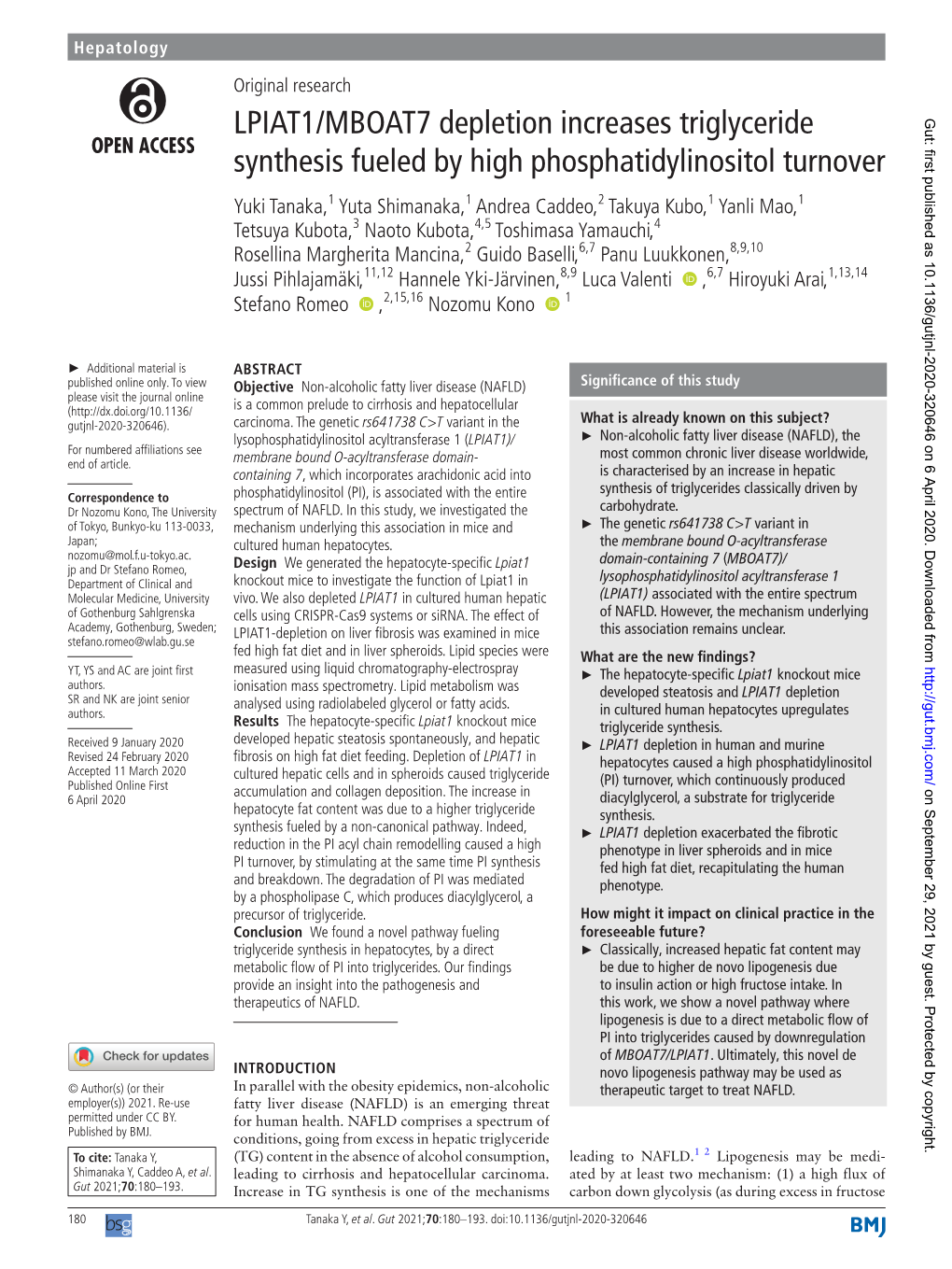 LPIAT1/MBOAT7 Depletion Increases Triglyceride Synthesis Fueled by High Phosphatidylinositol Turnover