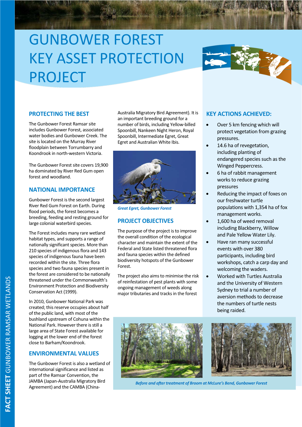 Gunbower Forest Key Asset Protection Project