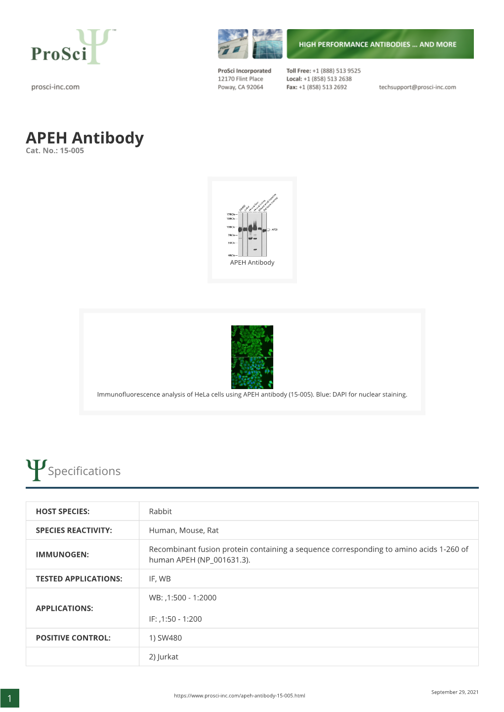 APEH Antibody Cat