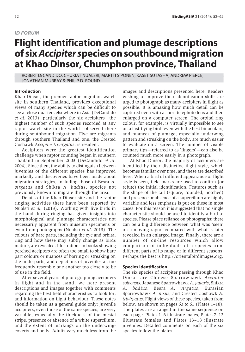 Flight Identification of Accipiters in Thailand