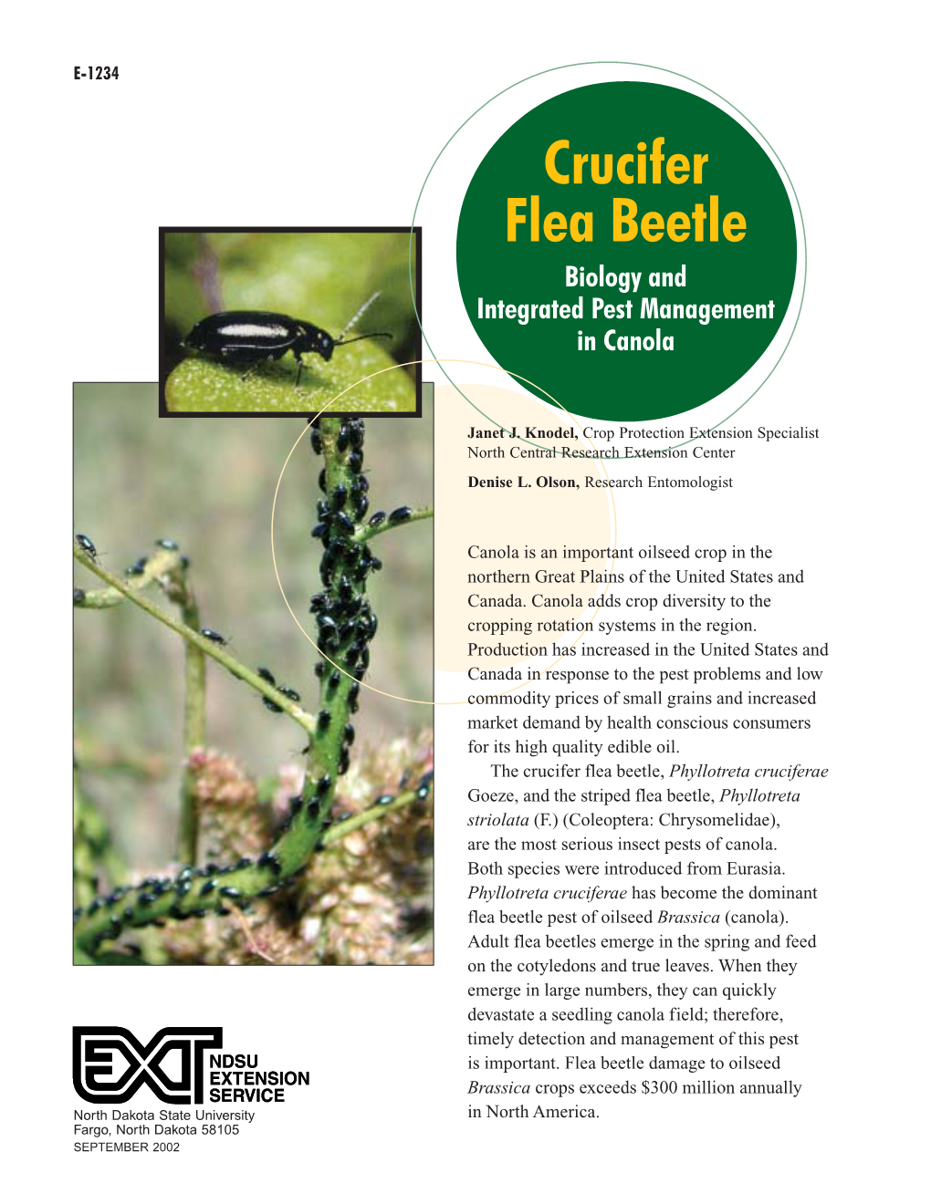 Crucifer Flea Beetle Biology and Integrated Pest Management in Canola